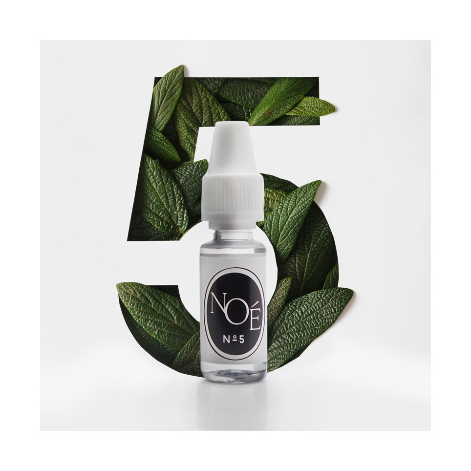 chargement de l'image